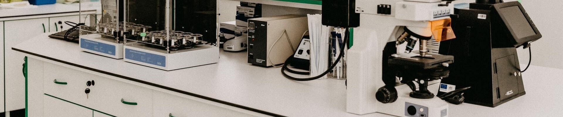 &nbsp;
