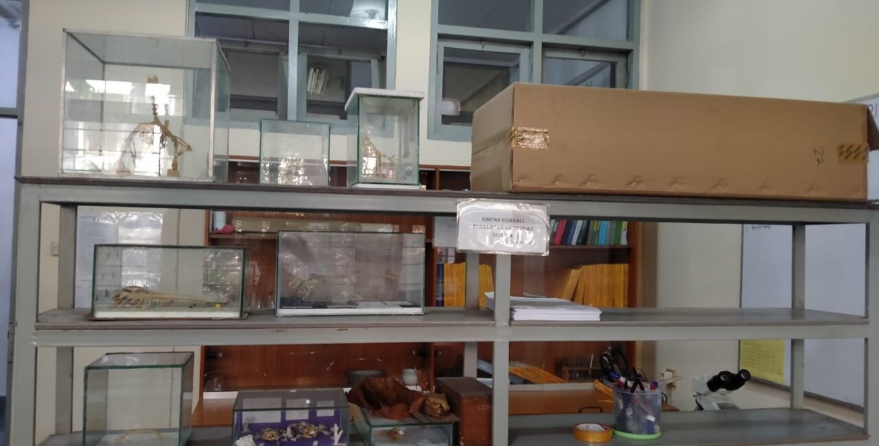 Lab. Biosistem (Fisiologi Hewan) (isi)