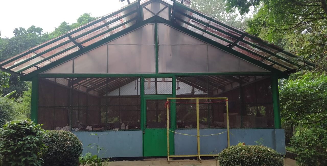 Rumah Kaca